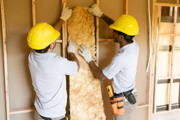 Best Insulation for Existing Homes  in Lincolnton, GA